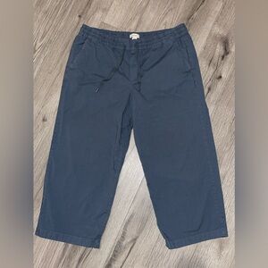 L.L. Bean Women's Stretch‎ Pull-On Pants, Wide-Leg Ankle Petite Large